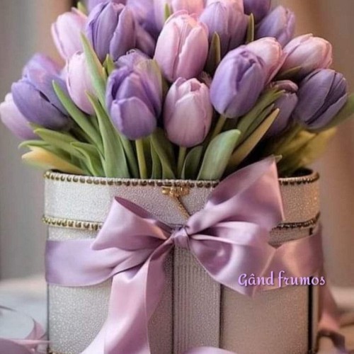 Amedeea