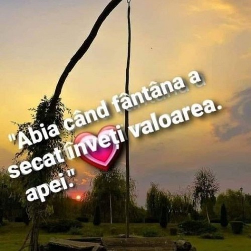 nora